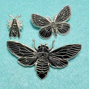 Cicadamancy Black Pins