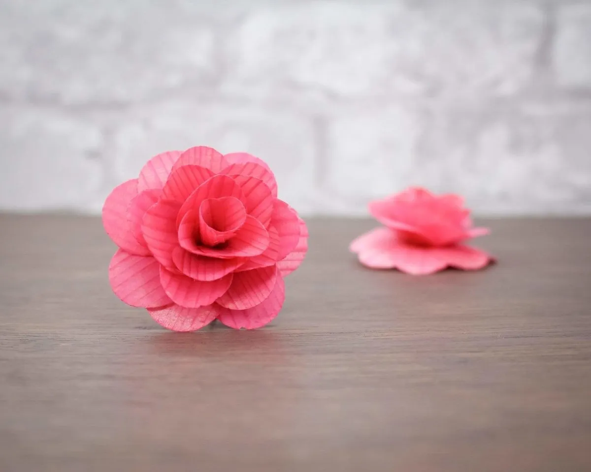Light Coral Classic Rose (10 Pack)