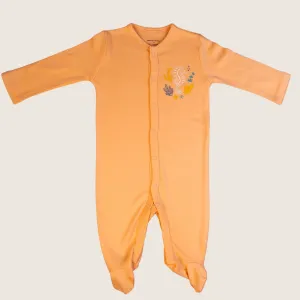 Seahorse Organic Baby Sleepsuit with Close Toe